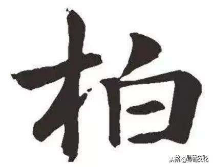 柏汉字怎么读,柏字汉字演变