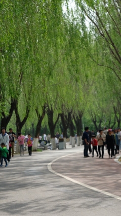 临颖千亩湖游览攻略,临颍千亩湖游记