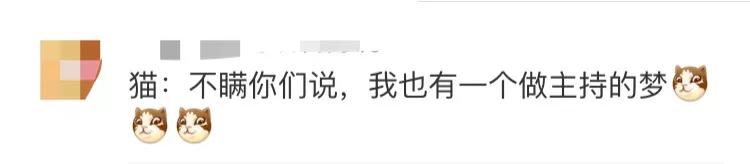 央视多档直播传出猫叫,央视猫叫上热搜