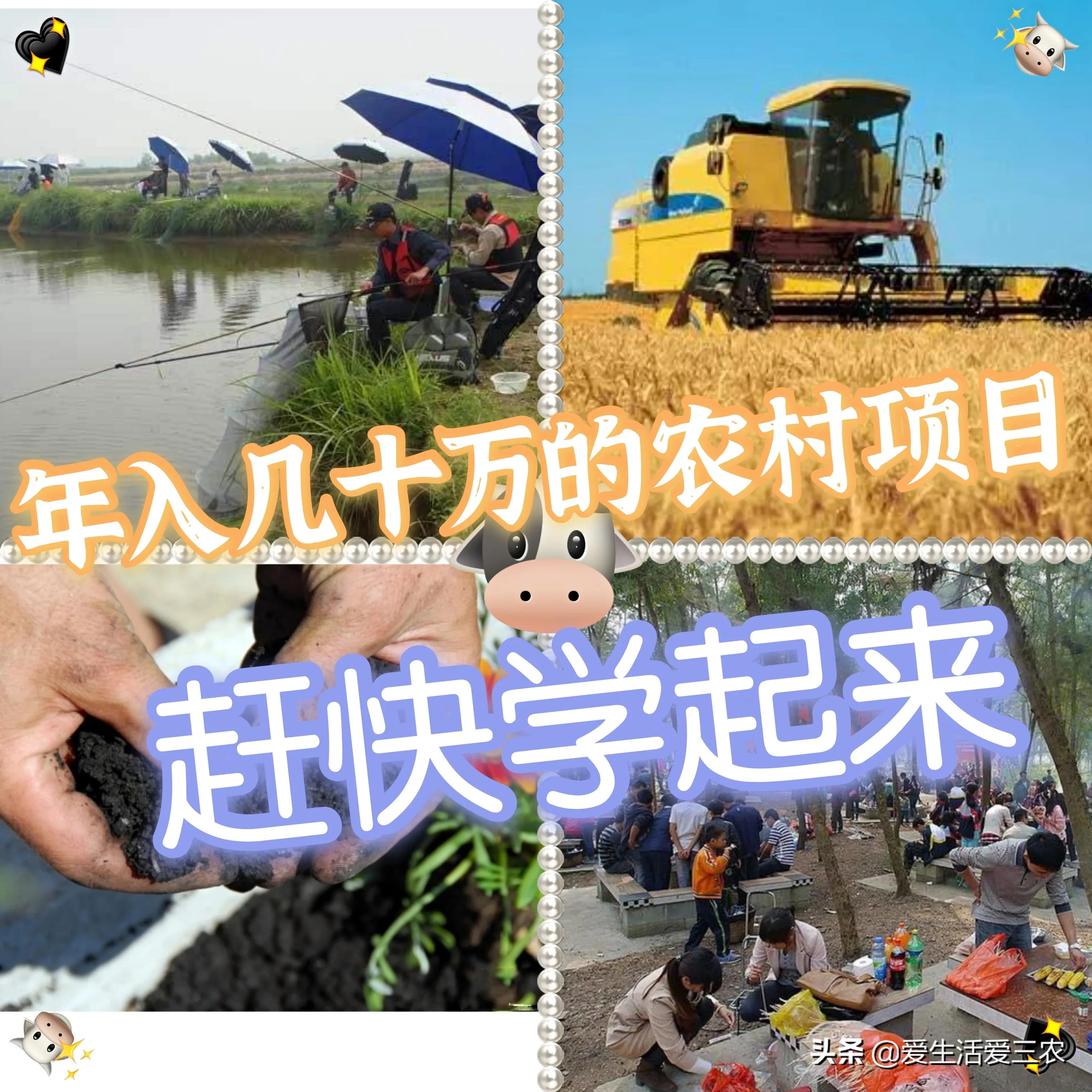 在农村如何致富,农村也能致富的小妙招