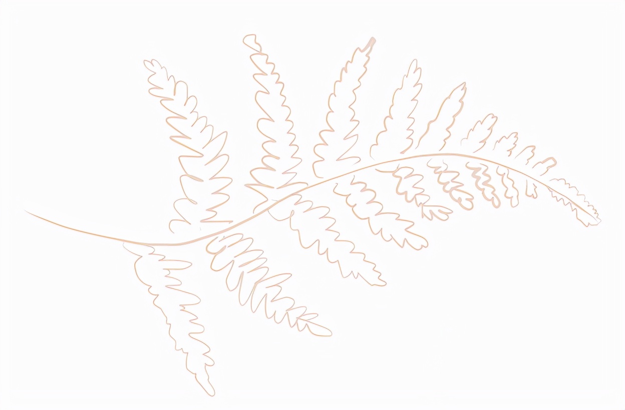 slh酒店推荐,新加坡slh酒店