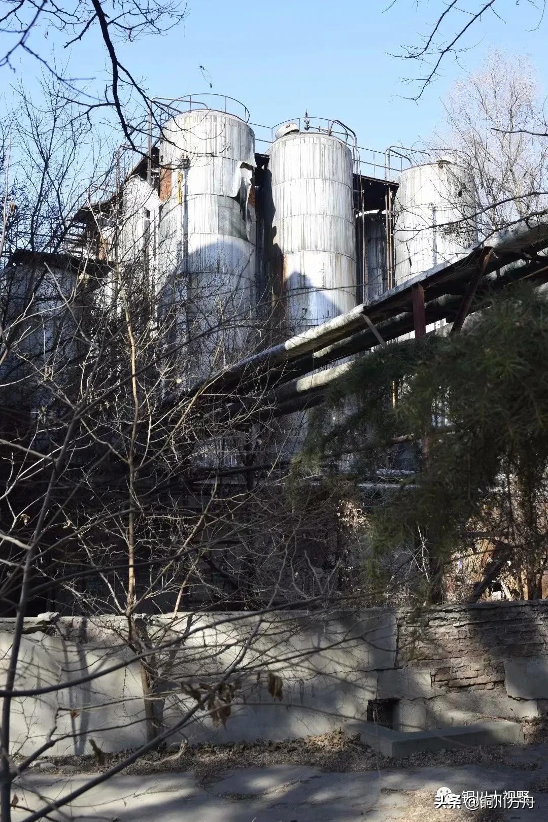 还记得当年啤酒的味道吗,铜川有什么啤酒品牌