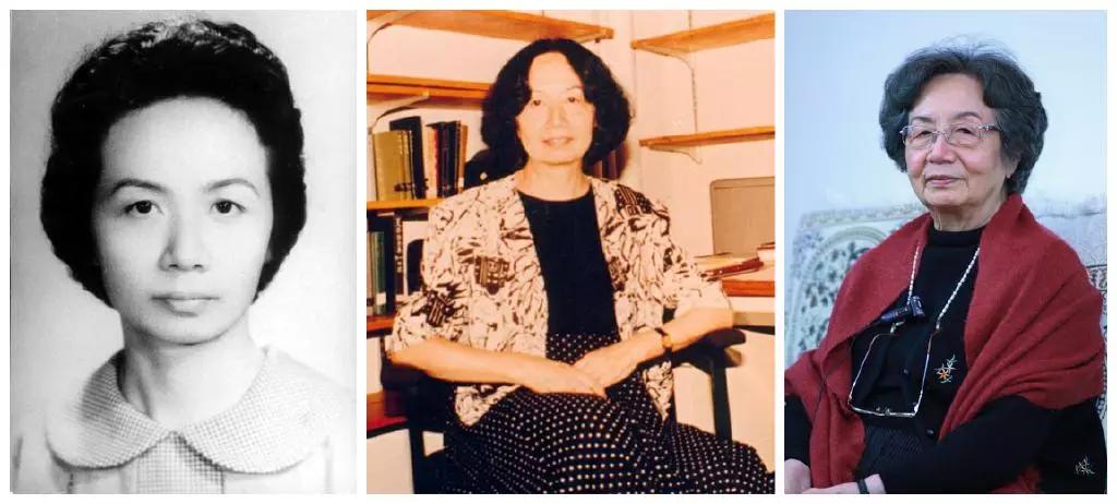 叶嘉莹岁月从不败美人,叶嘉莹诗词之美最经典的一句话