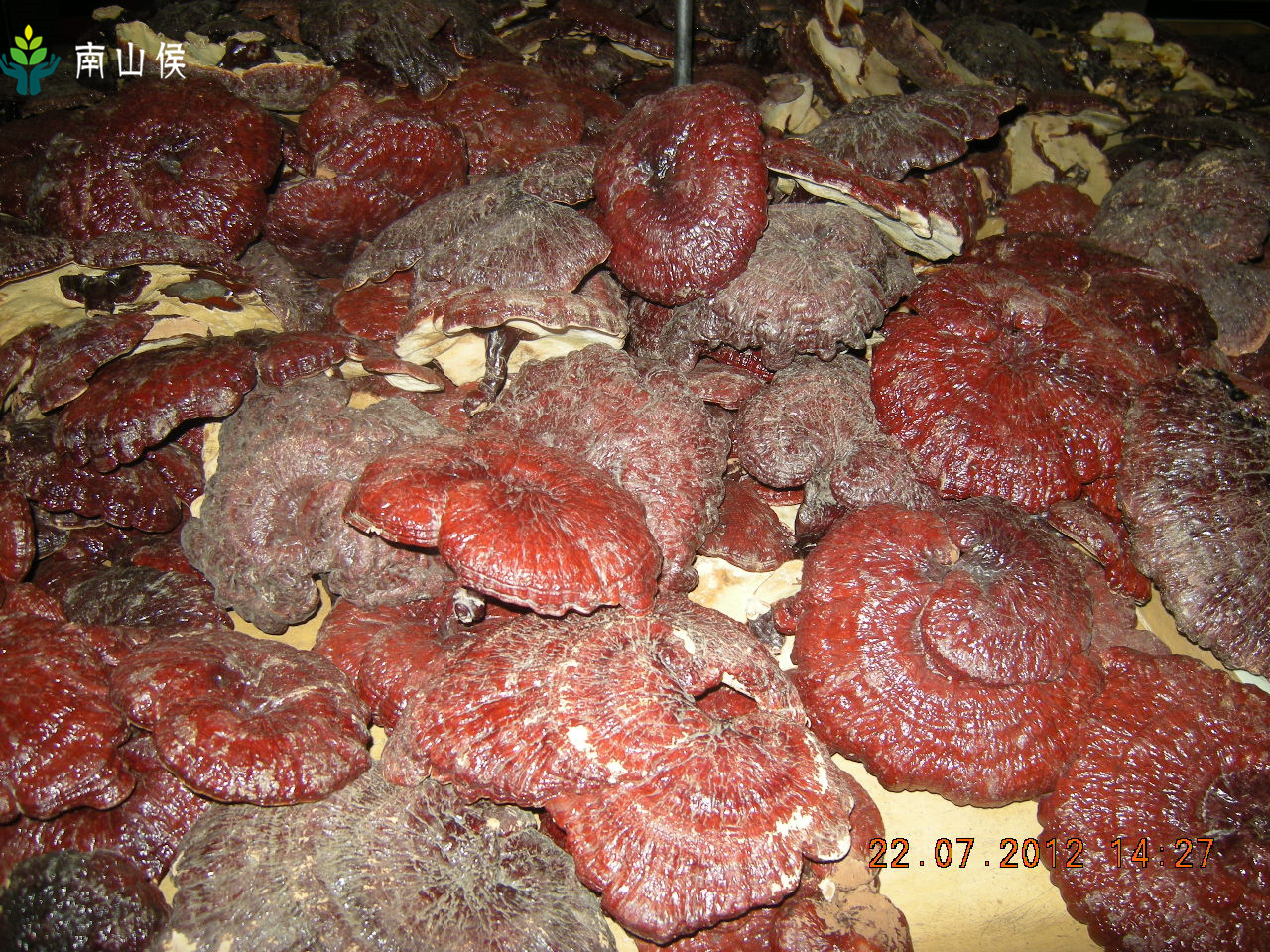 七彩云南必去景点,亚洲最美丽的地方