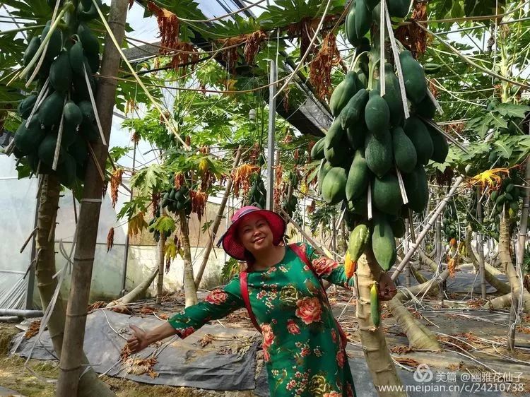 福建长汀最好玩的地方在哪里,福建长汀最好玩的地方在哪里呀