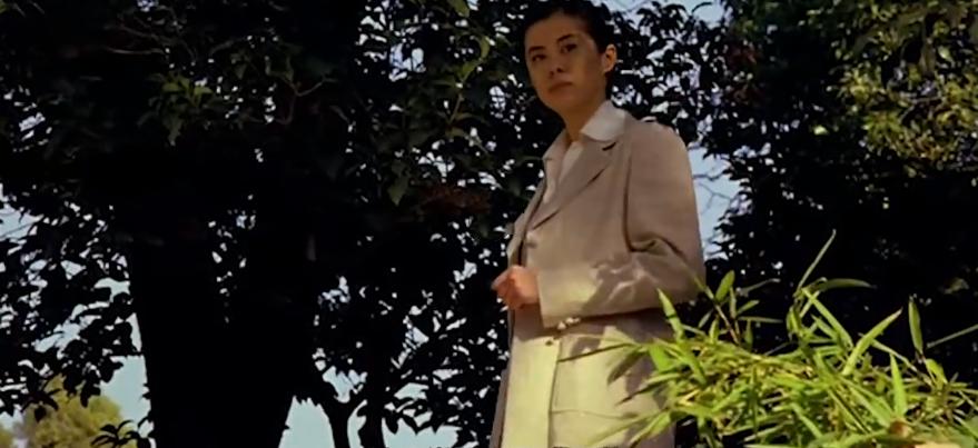 豪门姨太与老爷表妹的缠绵*恋虐**,两绝代佳人合璧——《游园惊梦》