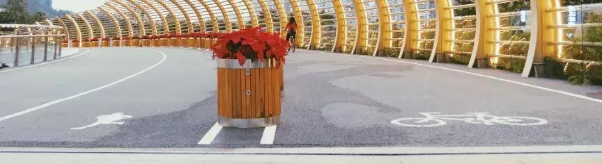 深圳湾公园这里有什么好吃的,深圳湾在哪里