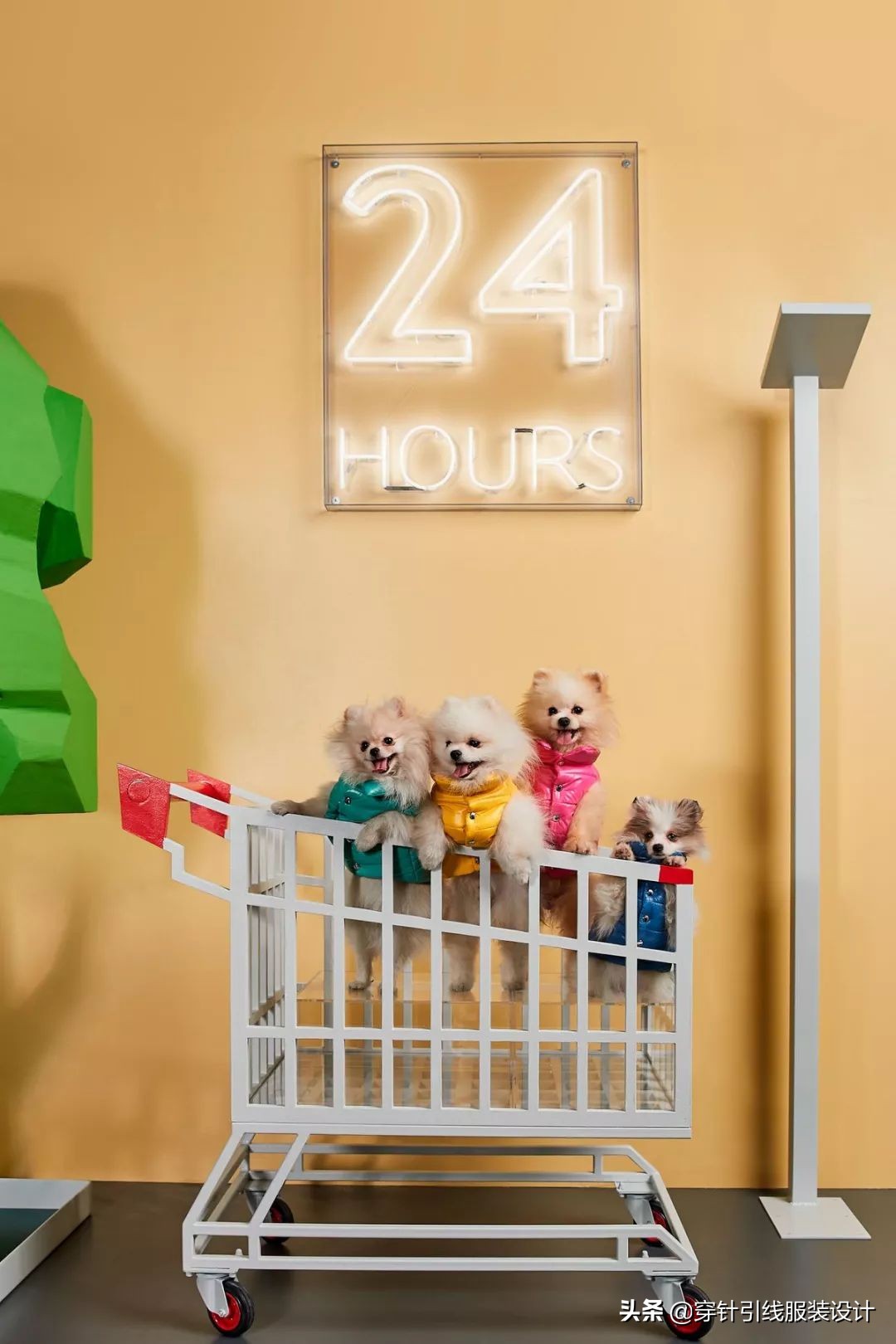 逆天羽绒服设计,moncler羽绒服成毅同款