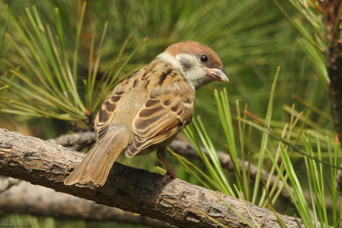 代位清偿最高法判例,最高法第166号指导性案例