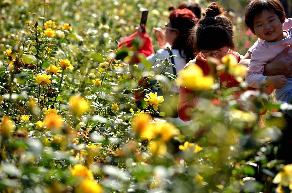济源滨湖花园燃气,济源思礼镇滨河花园