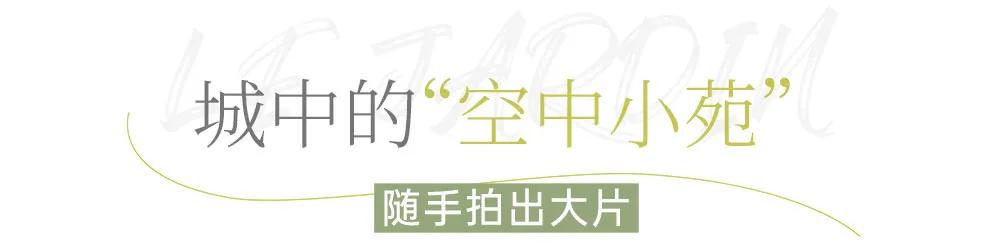 温州城中惊现“空中花园”，把美学装进料理里