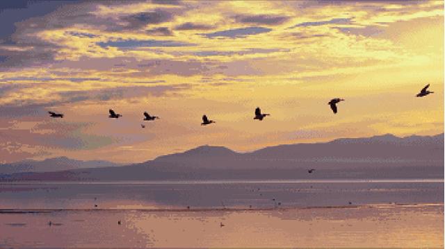 看滇池夕阳,五百里看滇池全景