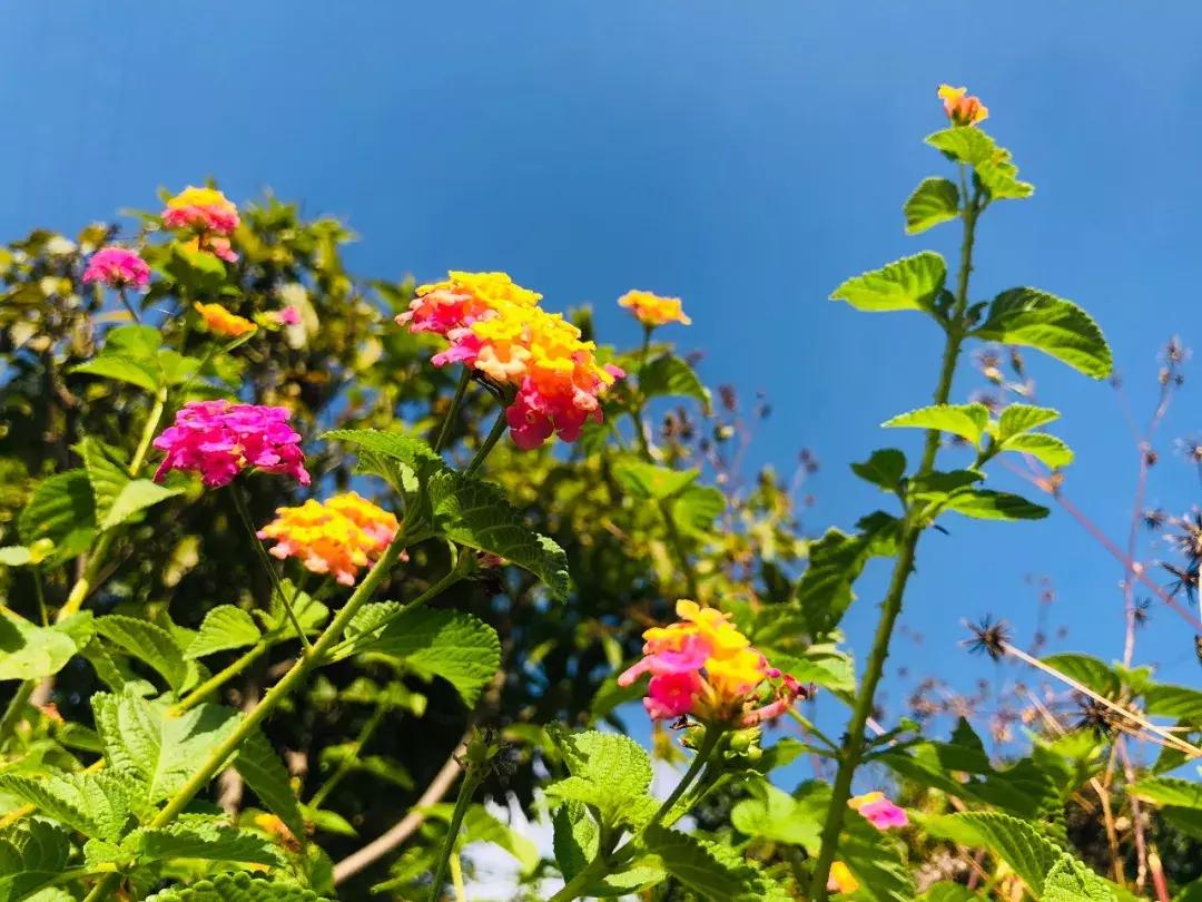 蜗旅旅行人生最新视频,蜗游记vlog