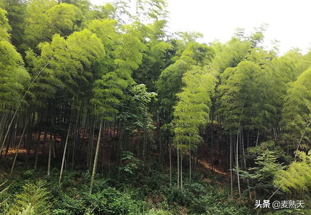 宜兴初来乍到,江苏人第一次去宜兴