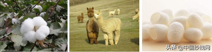 鏈嶈闈㈡枡鍩虹鐭ヨ瘑澶у叏,鏈嶈闈㈡枡鍩虹鐭ヨ瘑鑰冭瘯