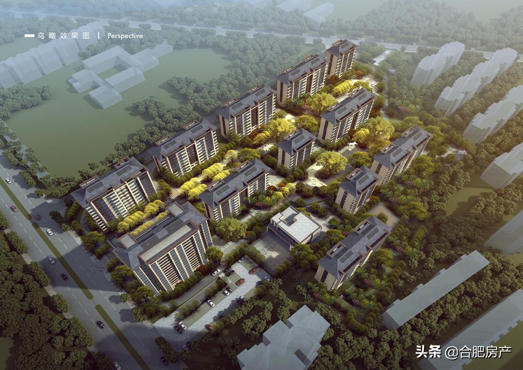 合肥性价比最高的小学学区房,合肥市十大中小学开学时间