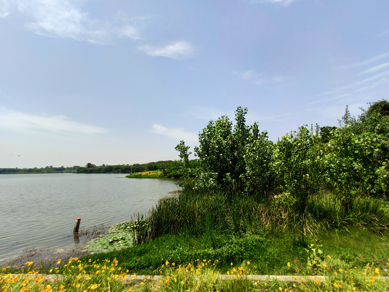 vivox27骁龙710游戏测评,vivox27有什么亮点