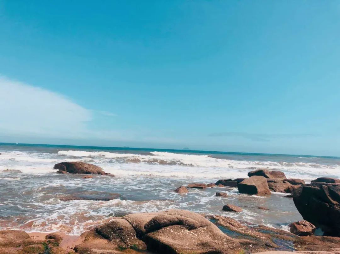 海滨老城泡桐花 (海滨老城紫色泡桐花)