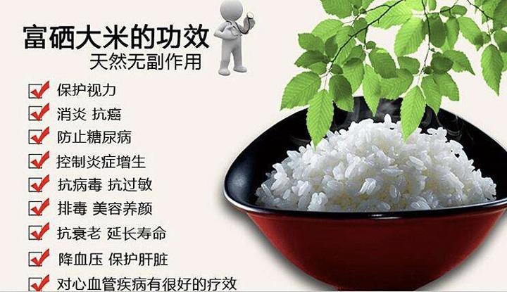 5块钱一斤的米有什么区别,10块钱一斤的米和普通米