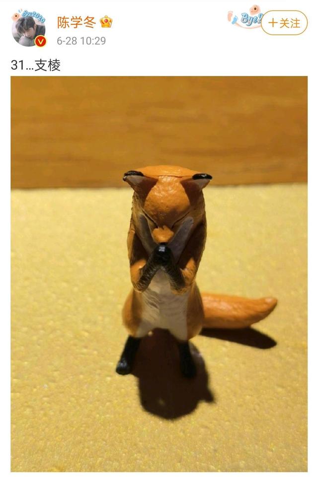 陈学冬生日感人视频,陈学冬生日是哪天