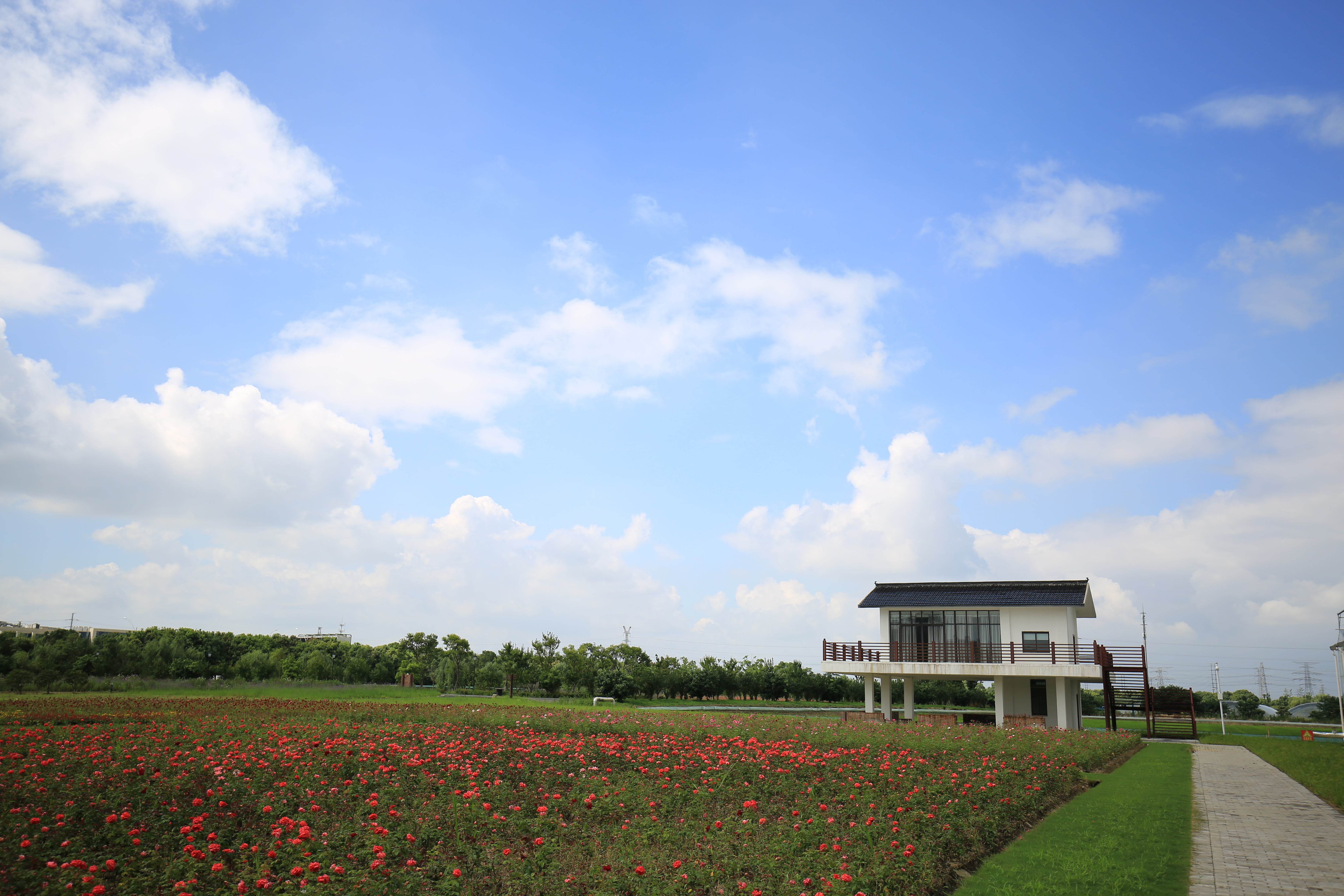 v眼看常州,漕湖生态