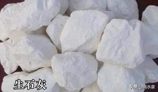 非洲猪瘟害怕哪些消毒剂，使用不当等于白用
