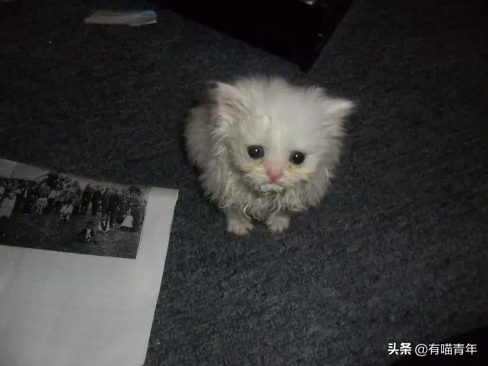 24岁男子喜当爹去派出所,90后男子相亲被误当爹