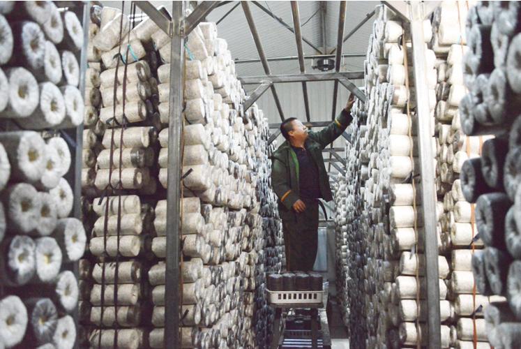 跟着总书记了解内蒙古｜林区工人停伐以后干什么、收入怎么样？