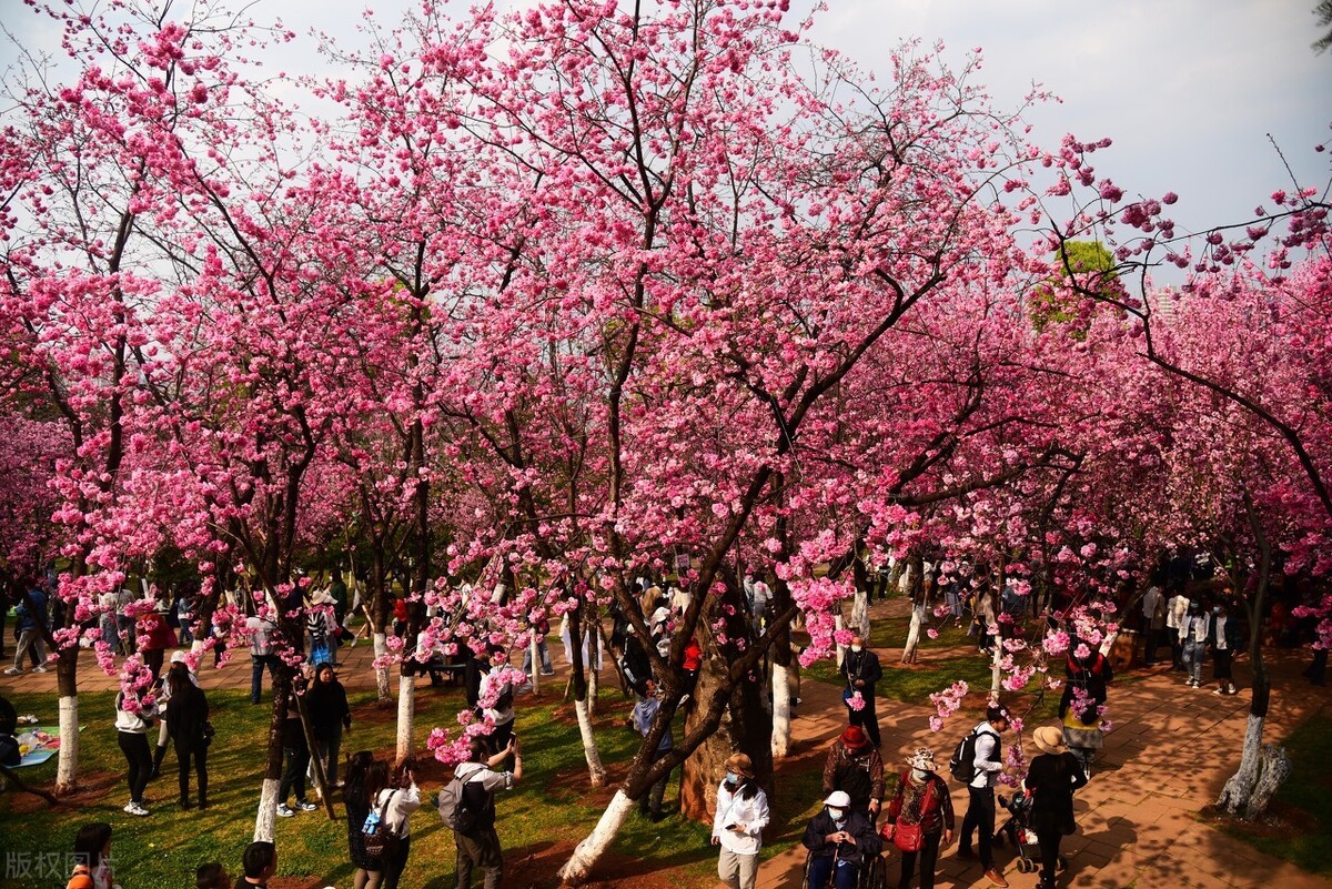 昆明市内游玩好去处 (云南昆明最值得玩的地方)
