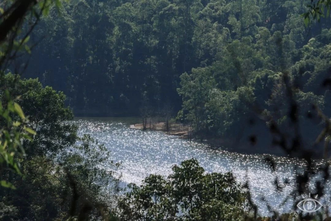 深圳游玩最佳地点排行榜前十名,深圳适合小孩游玩最佳地方推荐