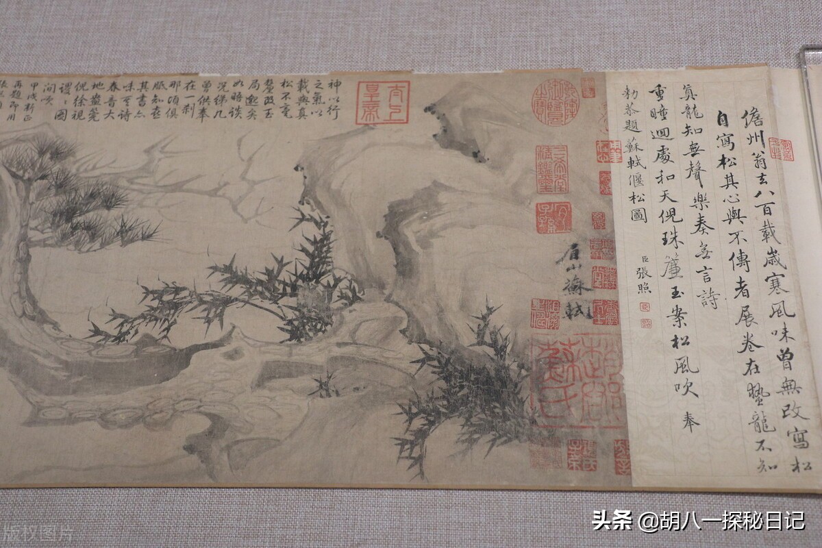 宋代大文豪苏东坡简介,苏东坡一生的才华和他的经历