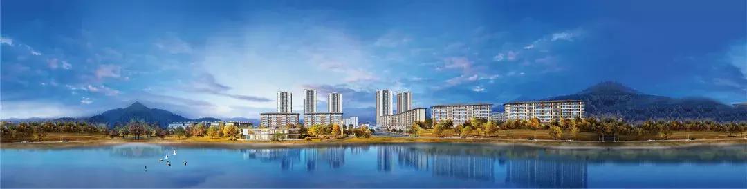 金科礼悦东方二手房92万,荣昌金科礼悦东方高层户型图