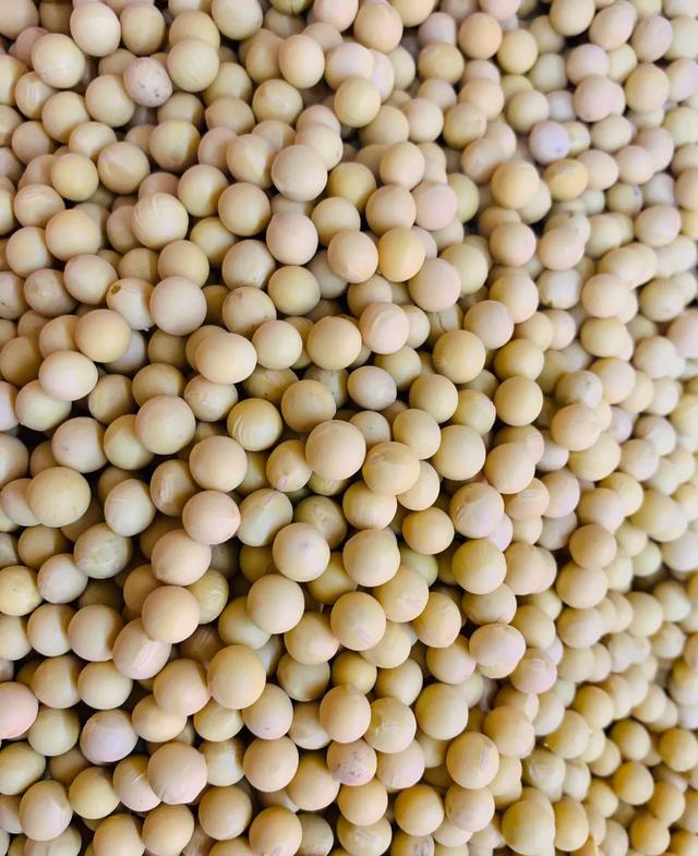 九三鲜榨大豆油5l价格,九三鲜榨非转基因大豆油