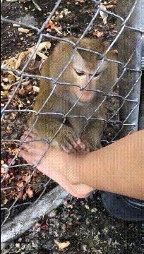 就喜欢这样自欺欺人的广告