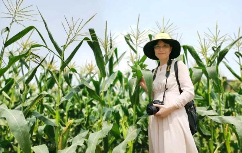 长泰县戴氏族谱,漳州市长泰县戴氏