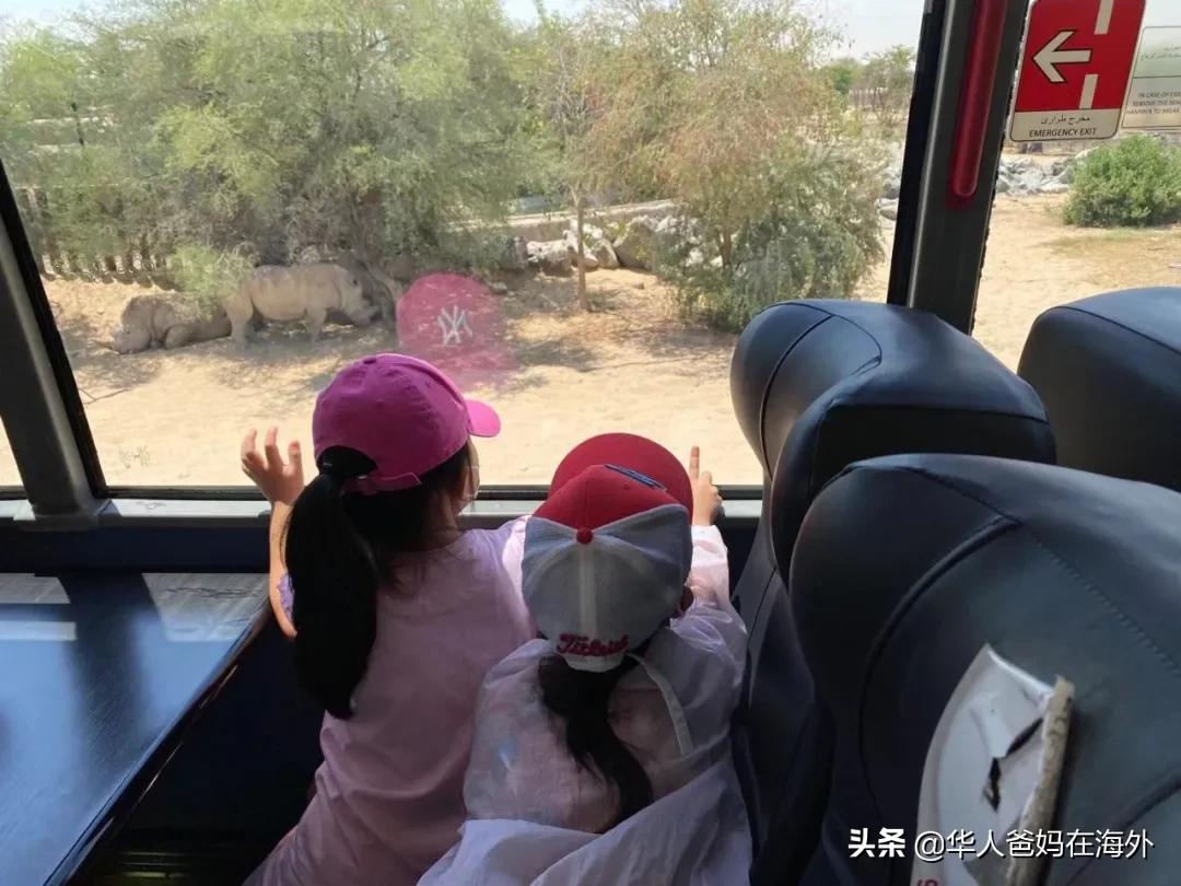 中东旅游必去城市迪拜,迪拜最好的旅游城市