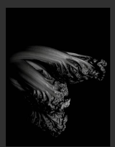 掌握技巧手机也能拍大片 (想用手机拍大片只需要做这一步)