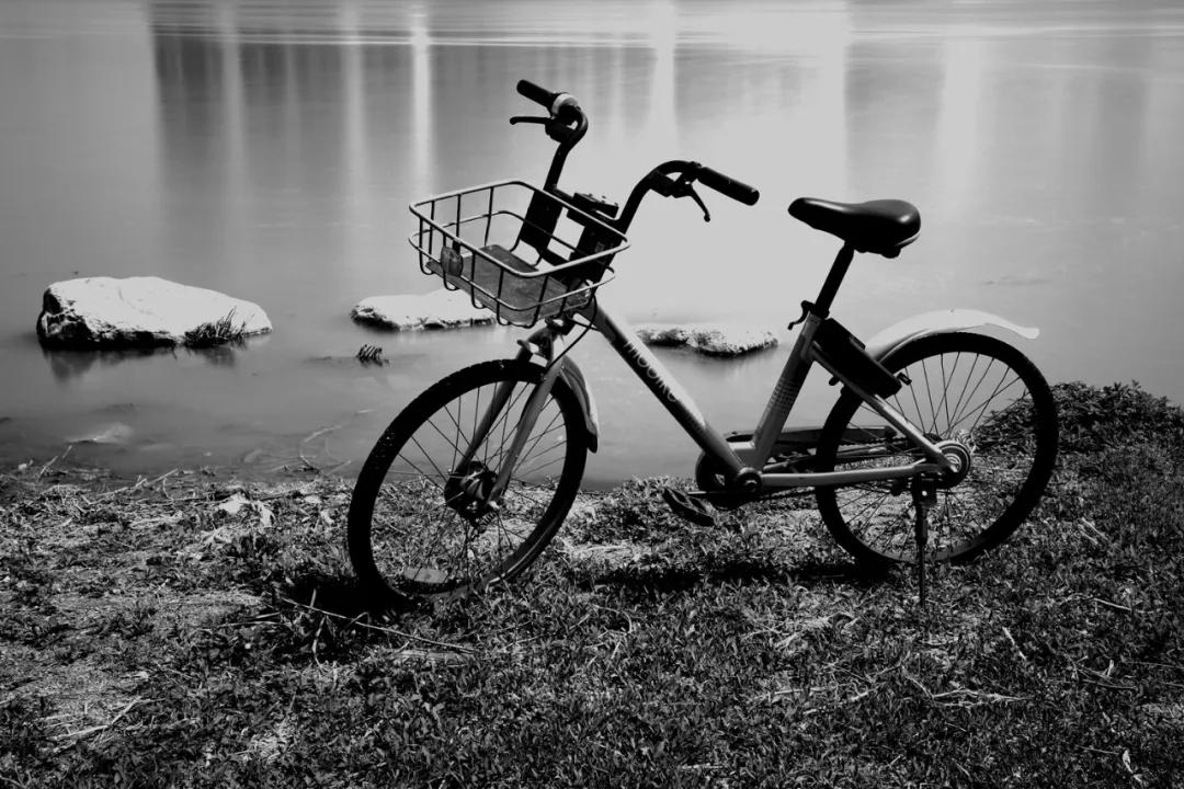 津门网金熙男:宁静的太子河