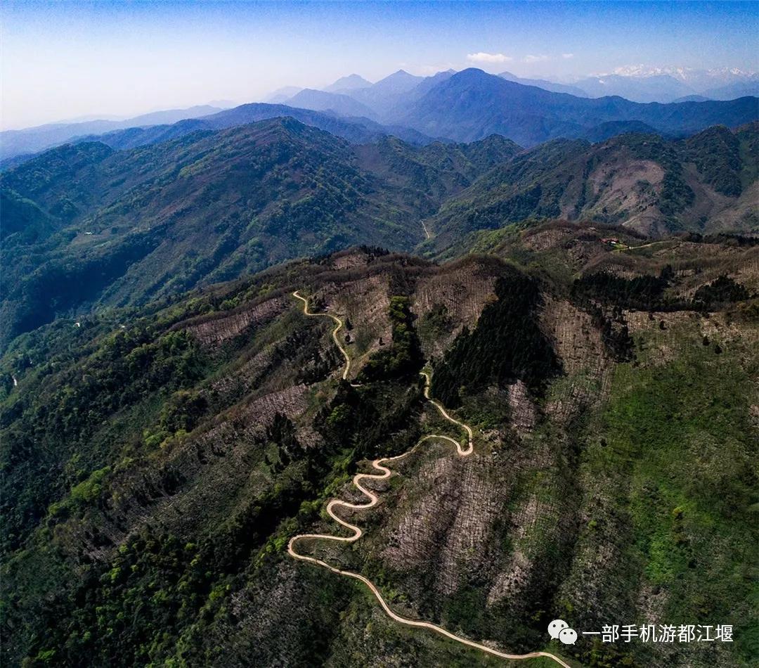 青城山熊猫谷都江堰一日游攻略,熊猫谷青城山都江堰一日游攻略