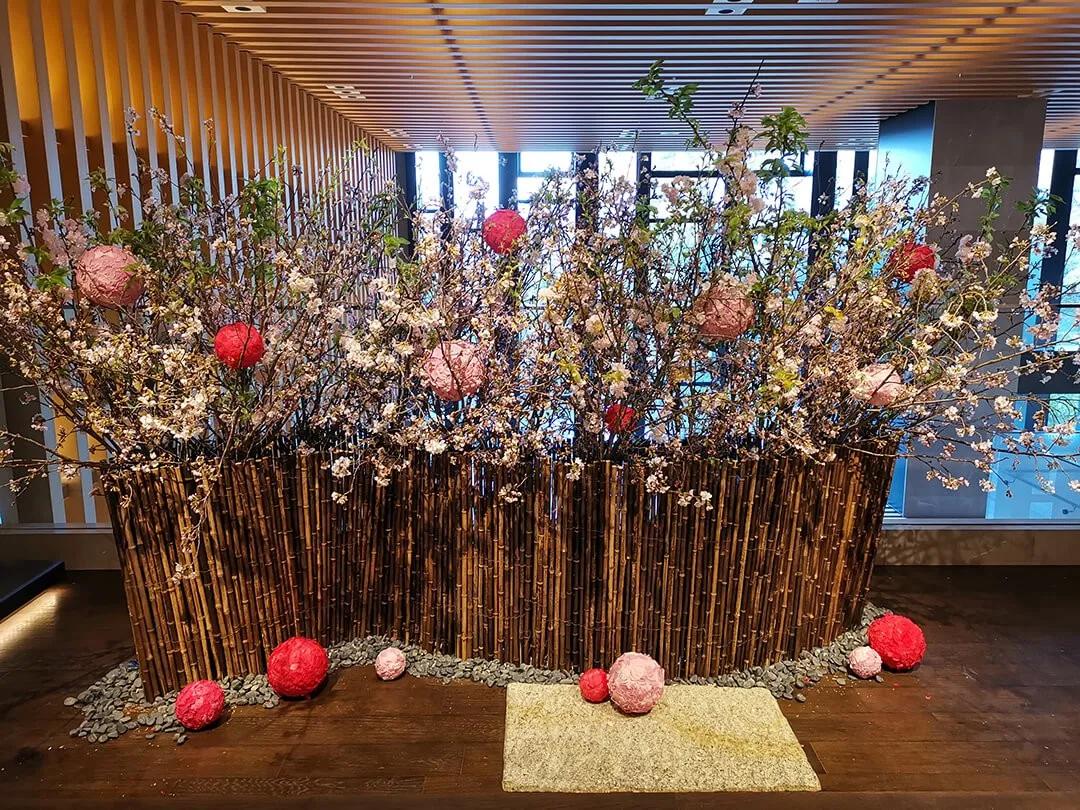 鎱㈣揪涓栫晫,鎱㈡父鍏ㄤ笘鐣岀浜屽鍦ㄧ嚎瑙傜湅