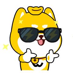 临沂猪肉价格今日行情,山东临沂罗庄猪肉多少钱一斤