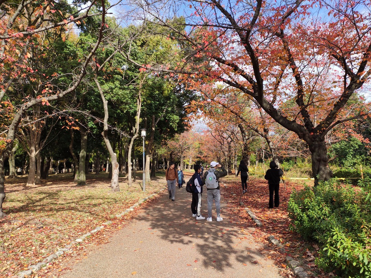 大阪马拉松跑道多少公里,日本大阪马拉松赛道怎么样