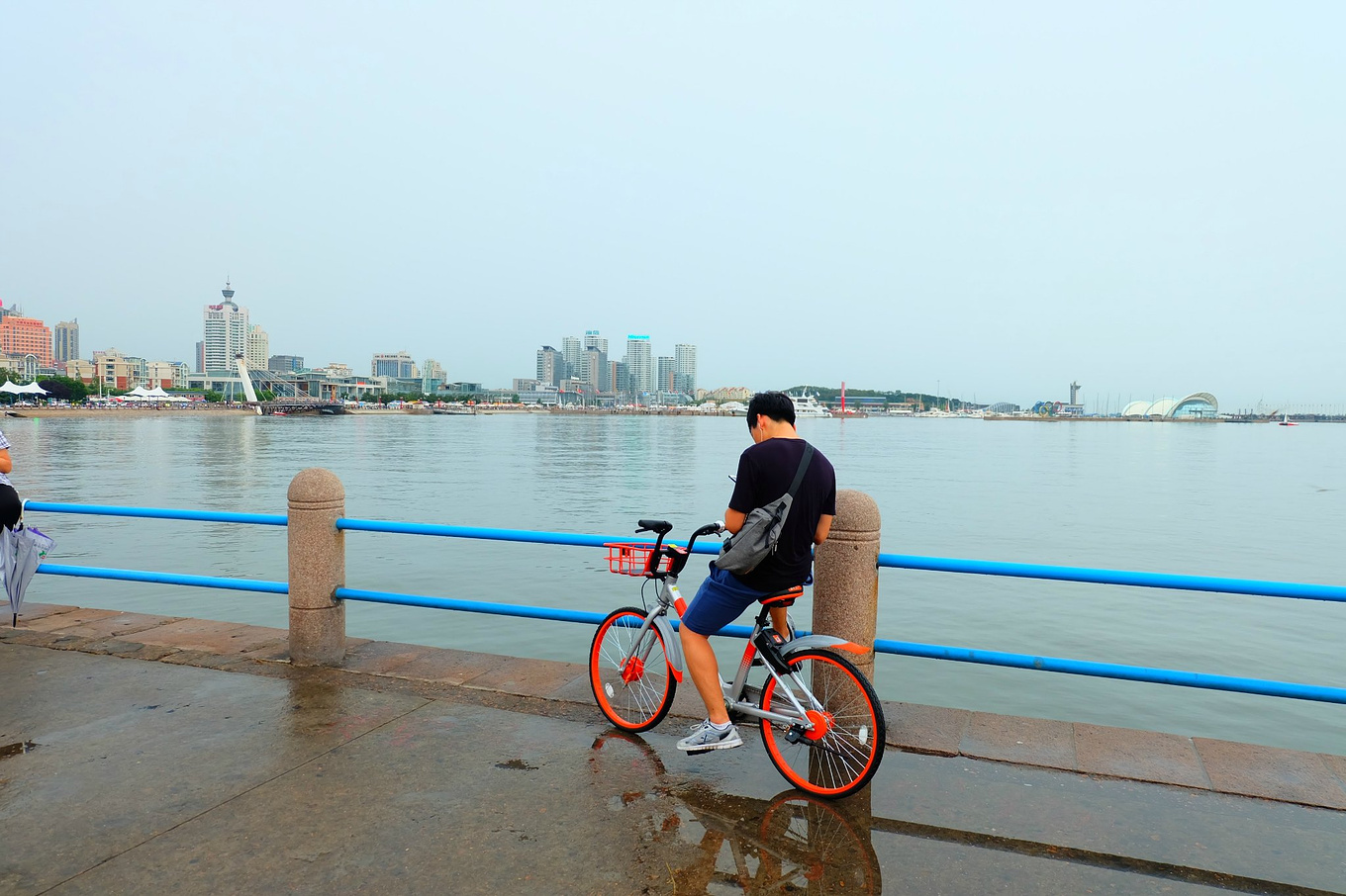 骆驼青岛,骆驼旅行在路上