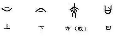 小升初语文知识复习——汉字(二)