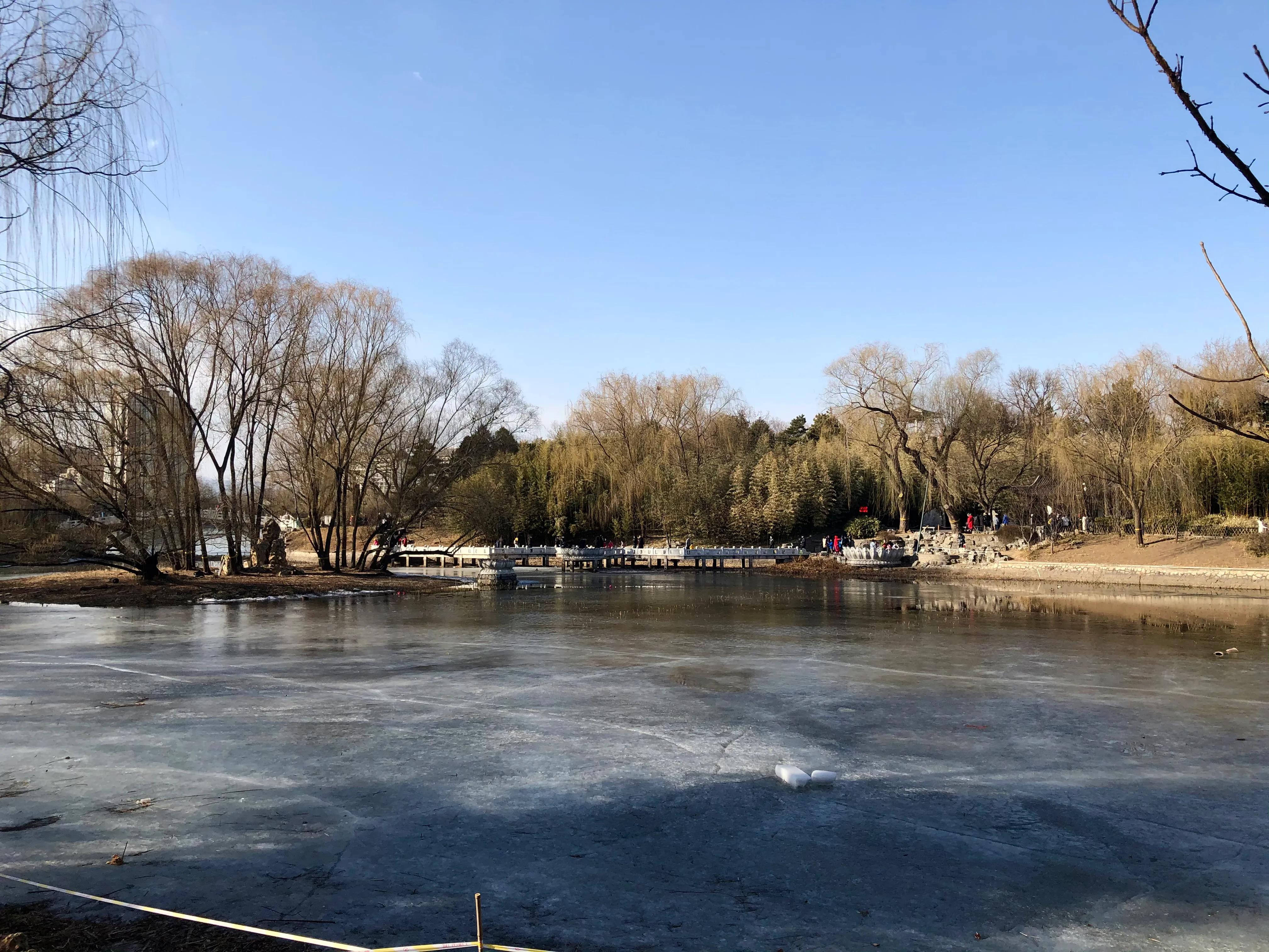 冬日紫竹院公园最新消息,冬日紫竹院公园