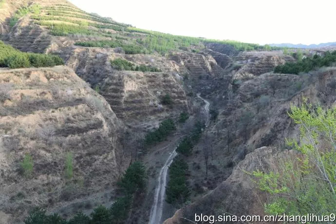 平型关大捷打的是辎重部队吗,八路军是不是打败了日军