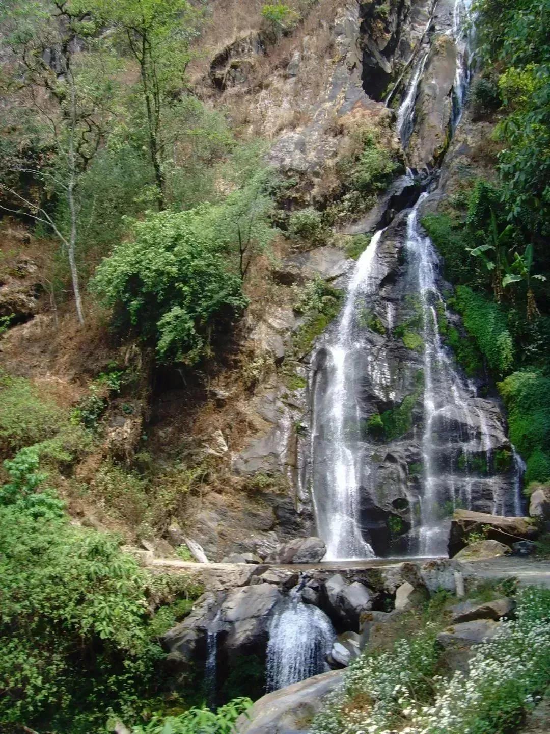 中国五大茶旅胜地,中国十大茶旅城市有哪些