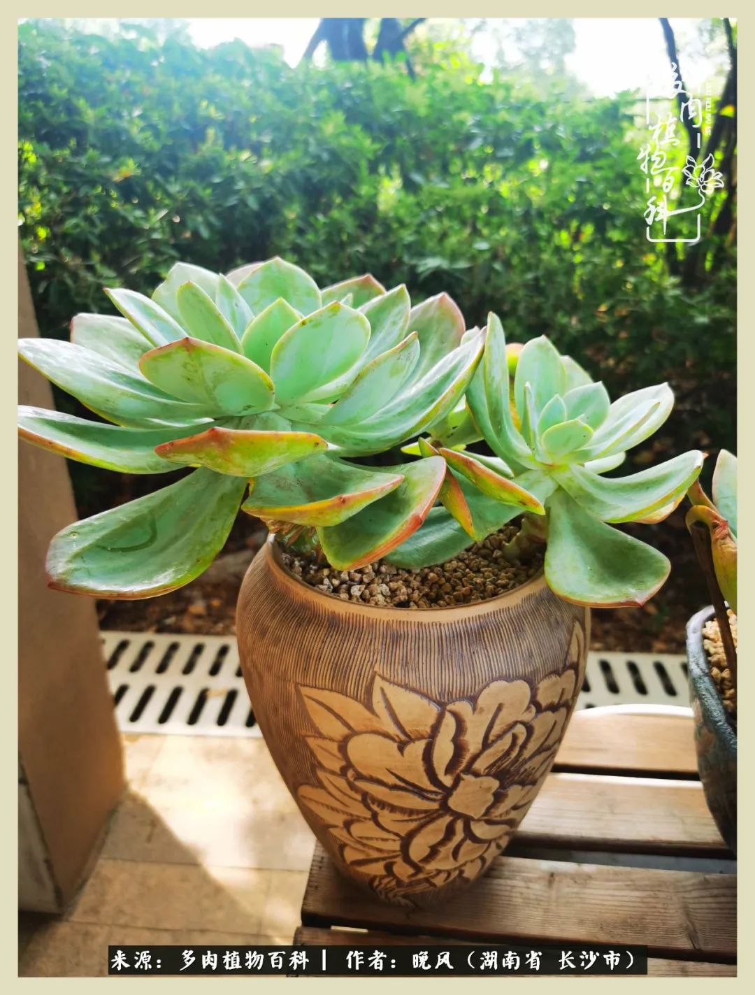 摇身一变成了奶爸,摇身一变成为打工人