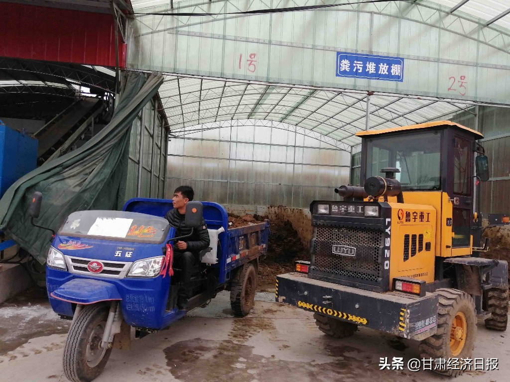 牛羊粪缘何成了抢手货——广河县有机肥料银行探微