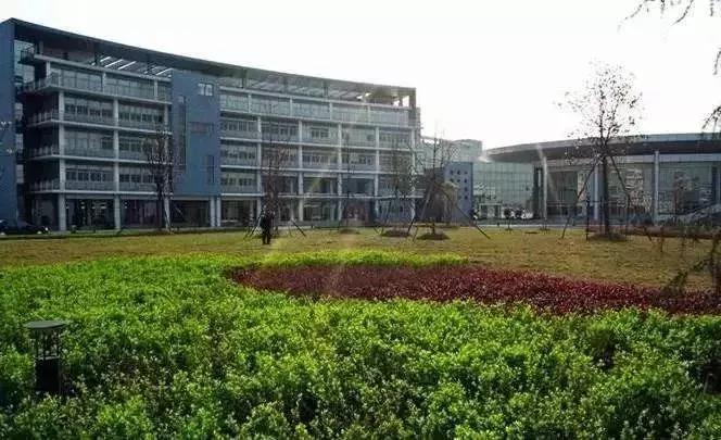 金中河西分校和致远外国语,南京市建邺区致远外国语小学